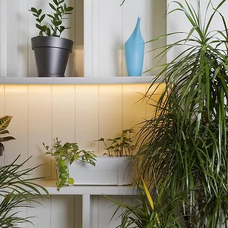 Praktik Garden 2* Barcelona