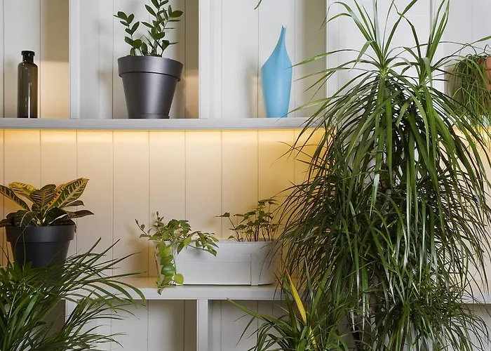 Praktik Garden 2* Barcelona