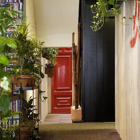 酒店 普拉克提卡花园酒店 2*